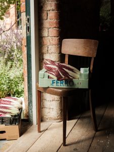 Radicchio on a chair in the sunshine with another box on the floor.