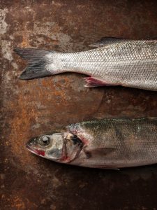 Two fish on a tray - where you can see the tail end of one fish and the head of another.