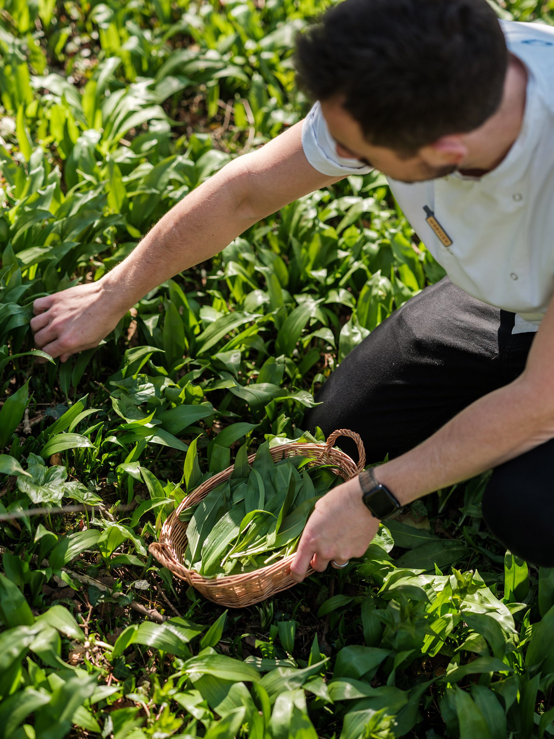 Wild Garlic Season
