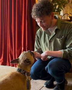 A person feeding a french bulldog a dog treat.
