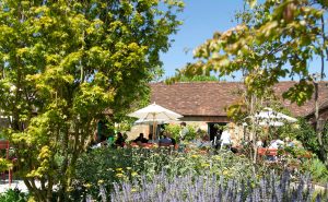 People sitting at tables in the sun behind lavender and trees.
