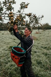 A man holding a tree with fruit in it