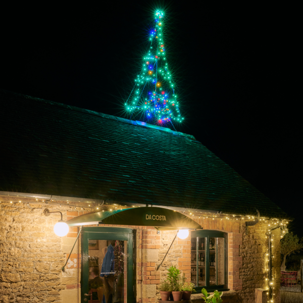 Christmas Lights Switch On