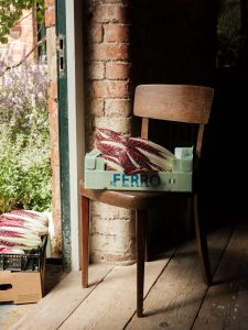 A radicchio in a green box on a brown chair