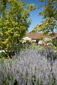 Lush garden with people dining outdoors.